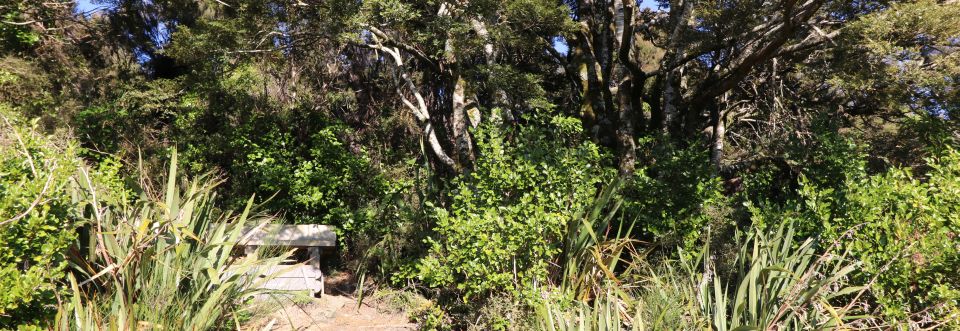 Linda Mercier Seat - Ben Rudd Property