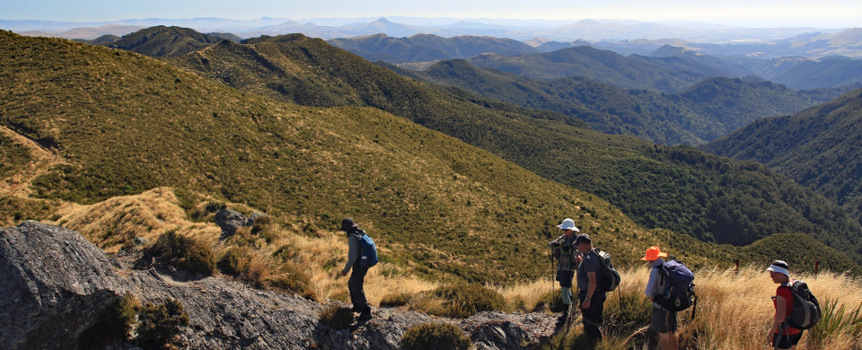 Pulpit Rock, Silver Peaks Scenic Reserve