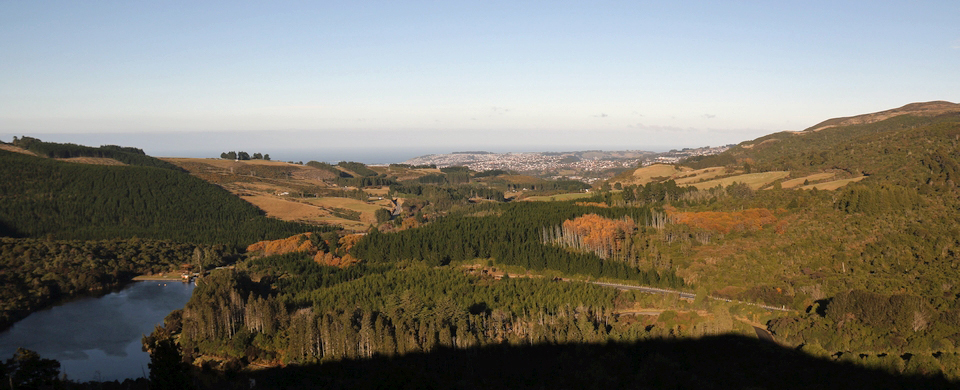View from Leith Loop Lookout